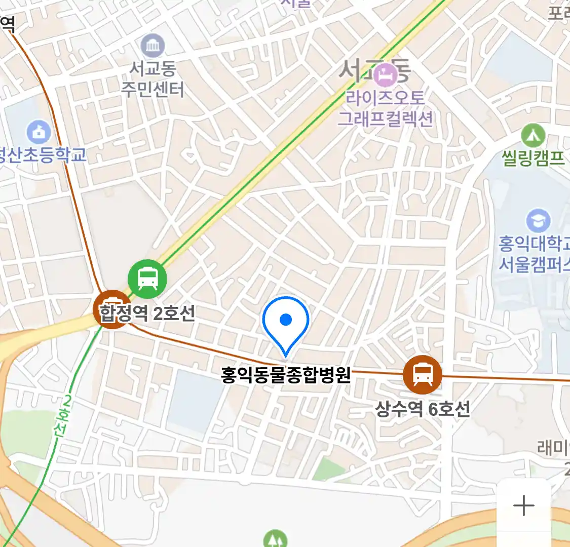 홍익동물종합병원