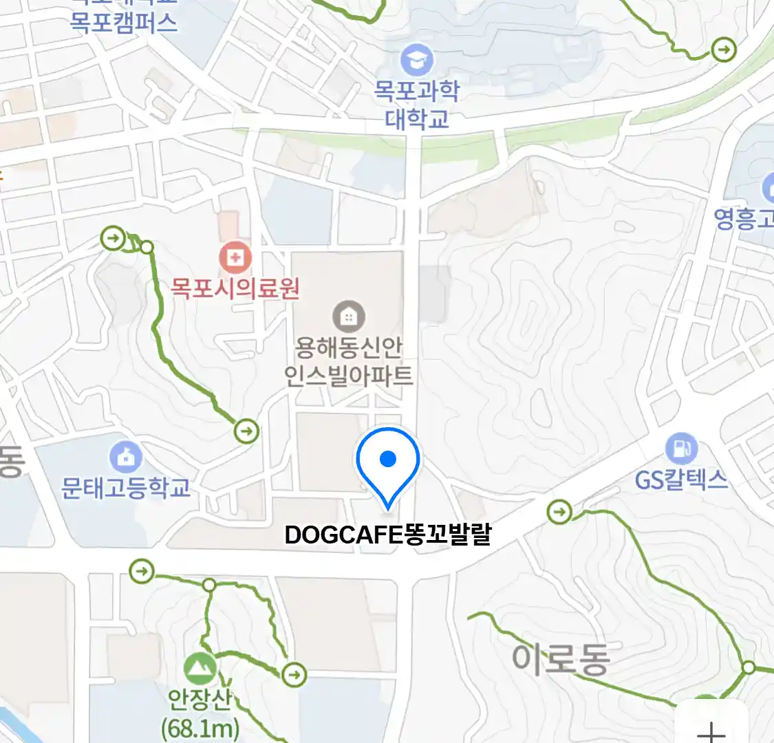 DOGCAFE똥꼬발랄