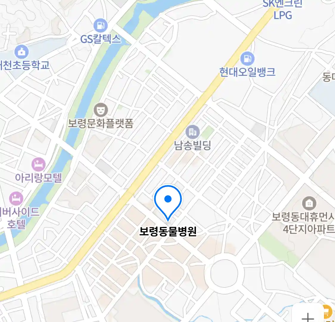 보령동물병원
