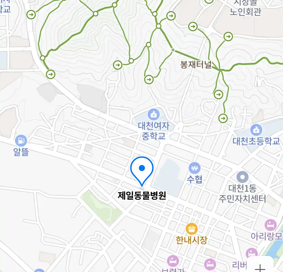 제일동물병원