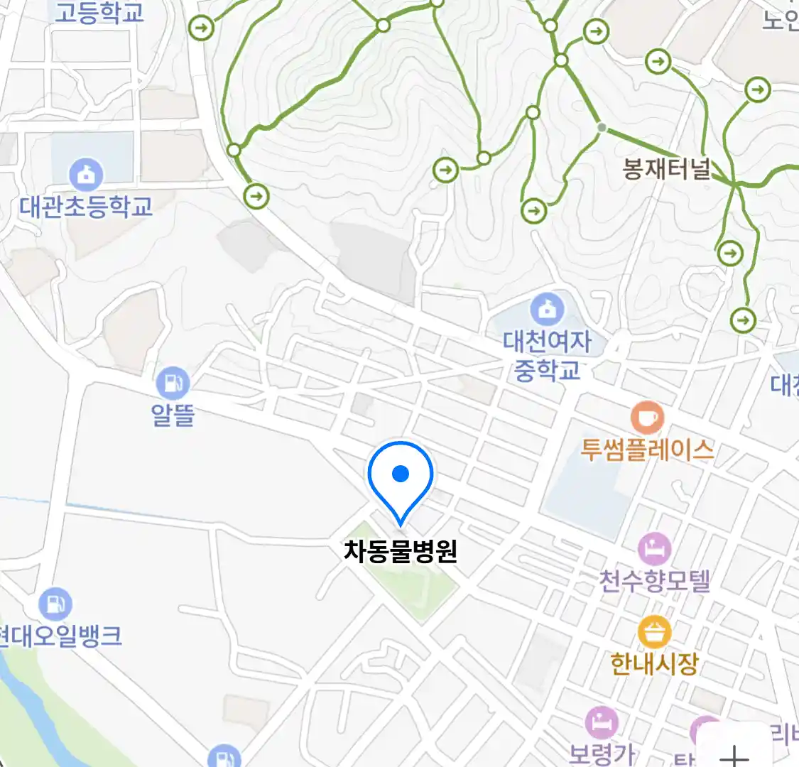 차동물병원