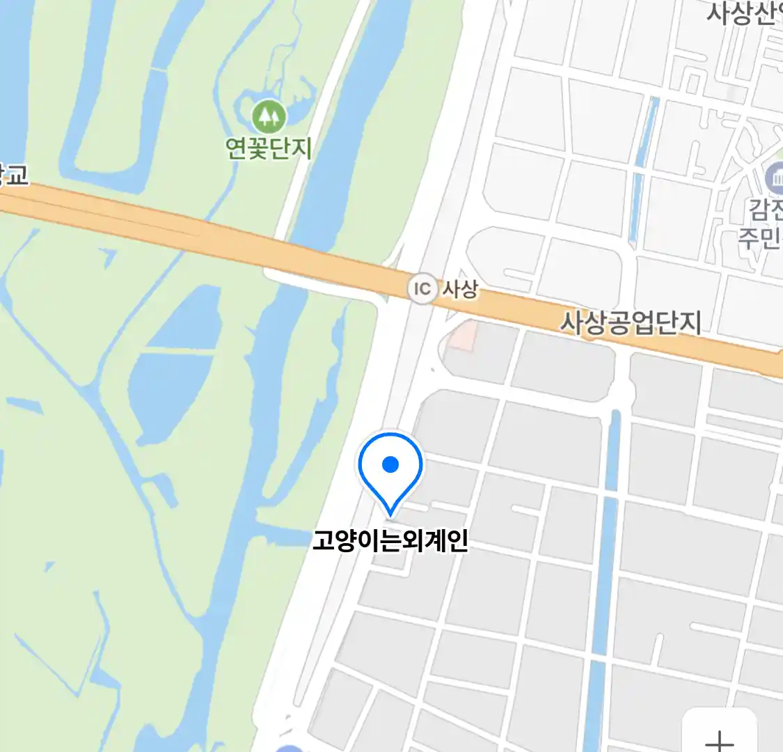 고양이는외계인