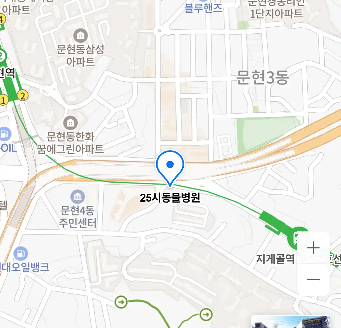 25시동물병원