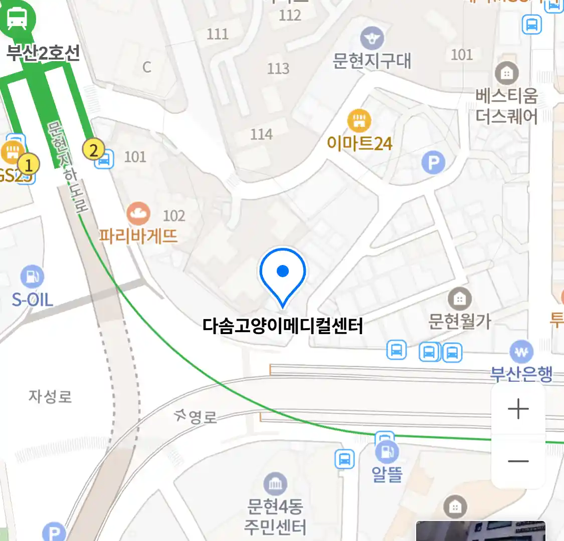 다솜고양이메디컬센터
