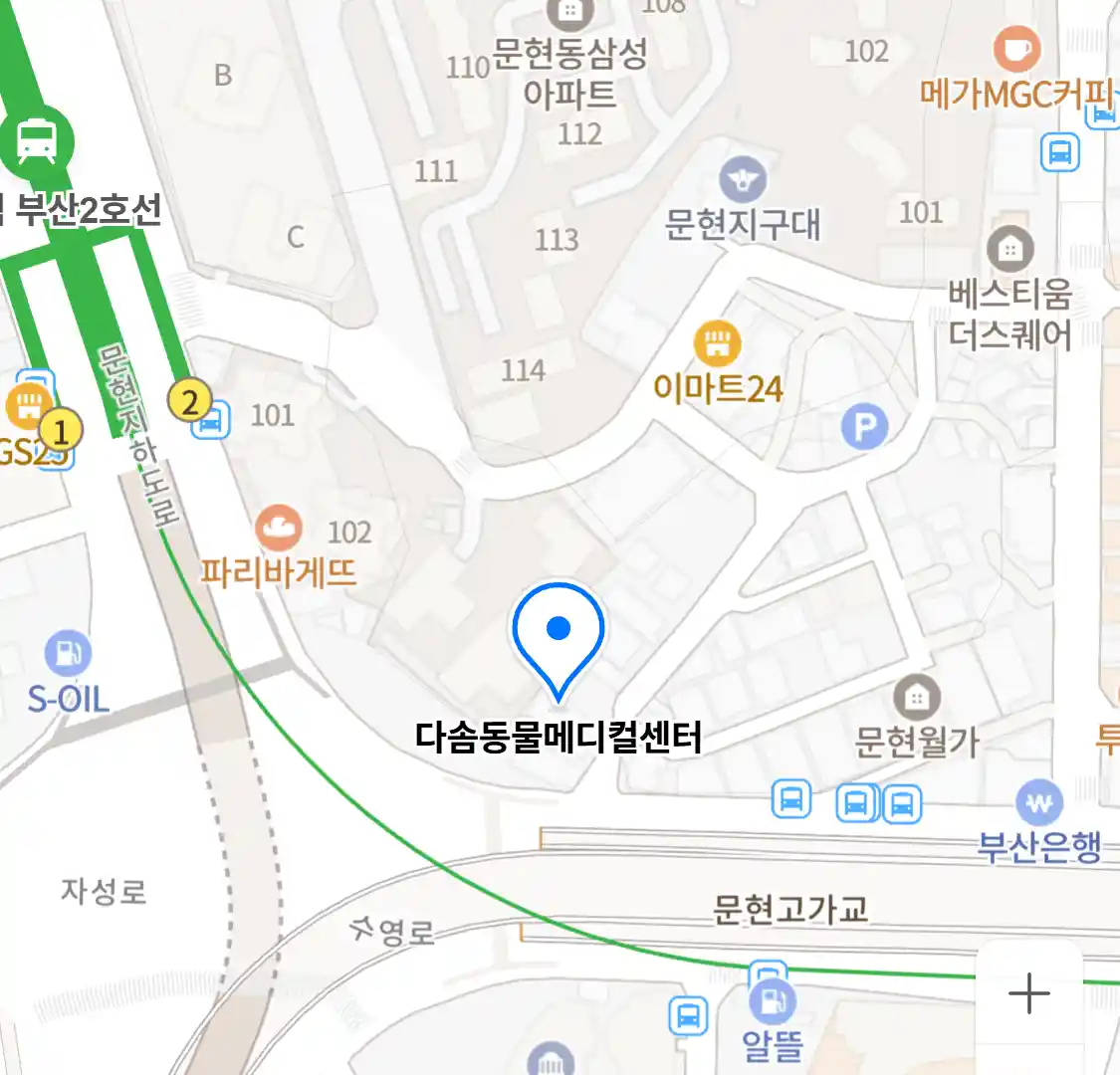 다솜동물메디컬센터