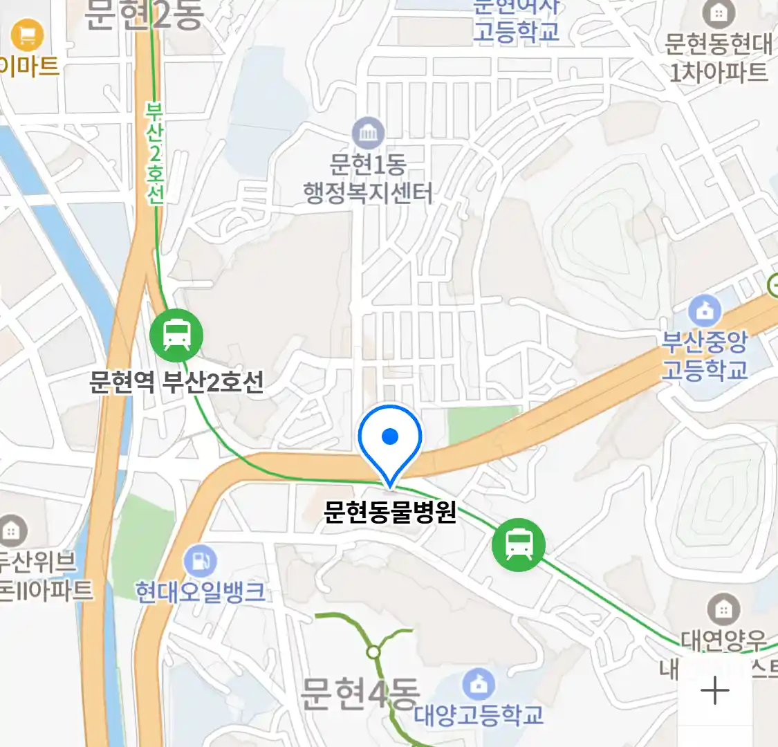 문현동물병원