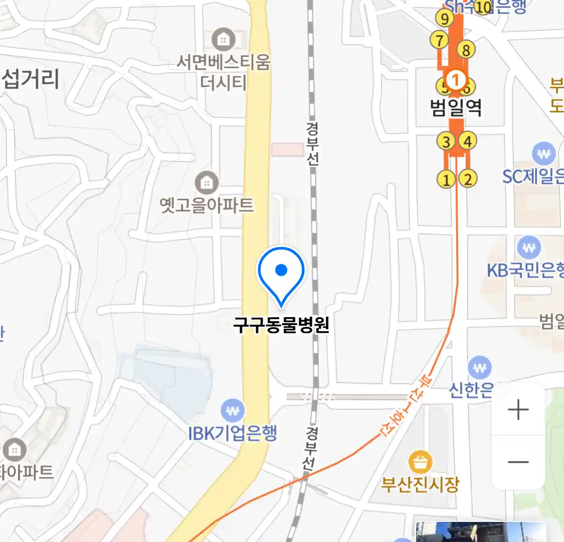 구구동물병원