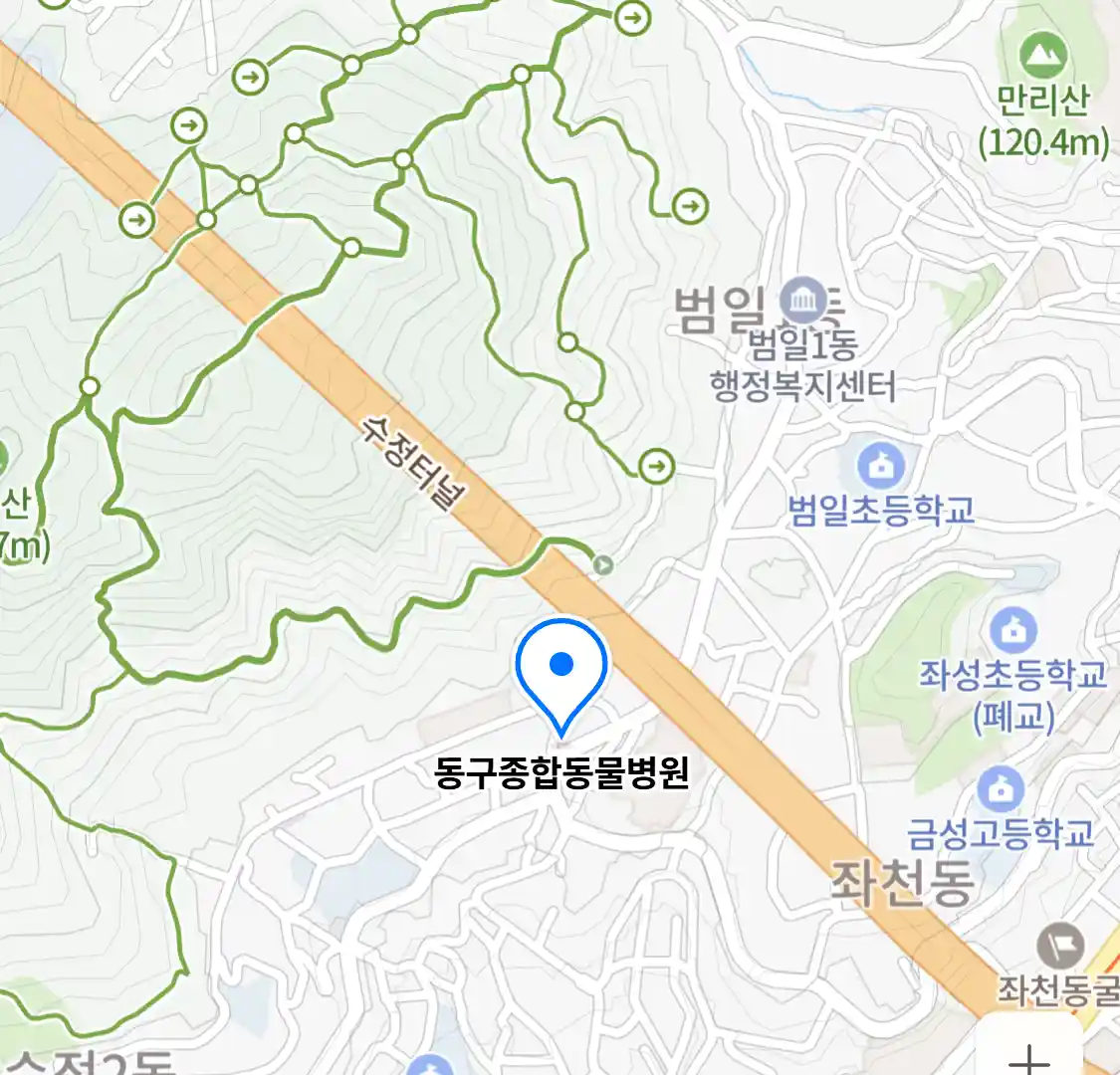 동구종합동물병원