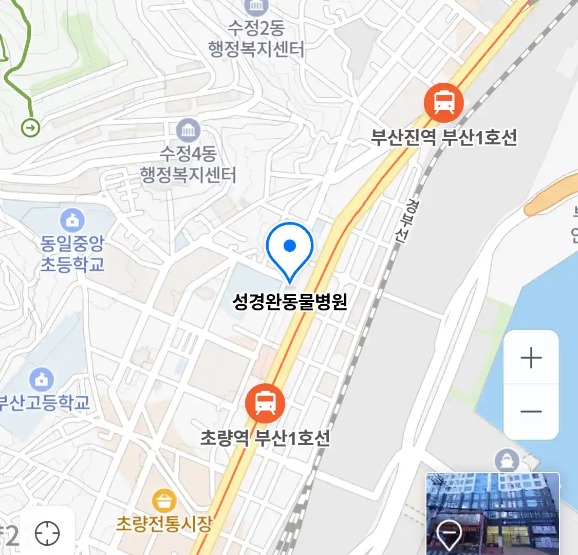 성경완동물병원