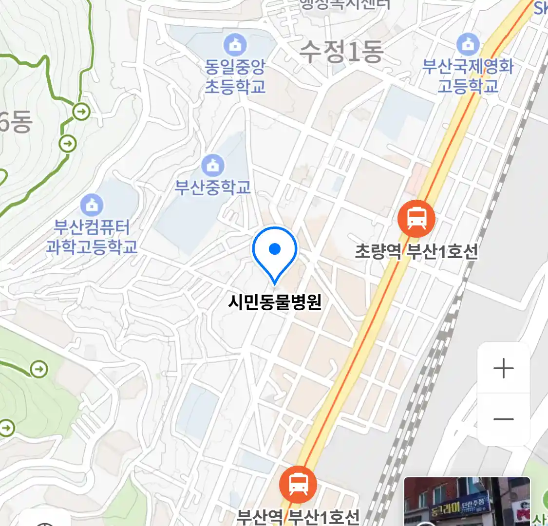시민동물병원