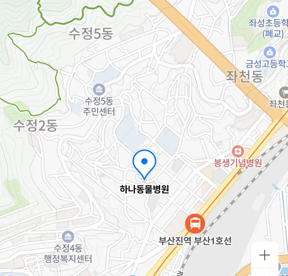 하나동물병원
