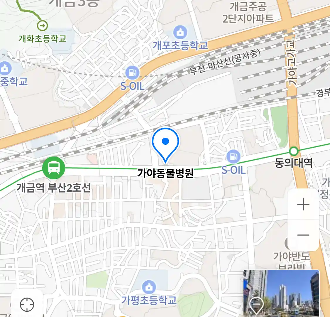 가야동물병원