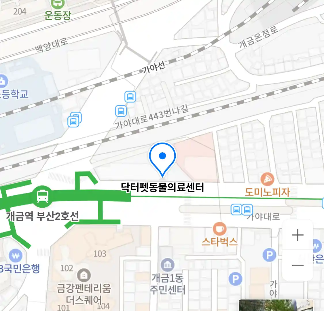 닥터펫동물의료센터
