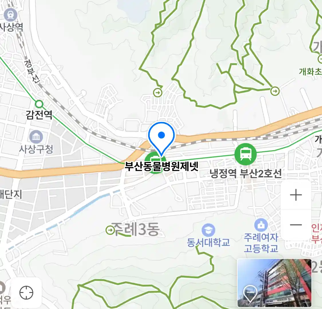 부산동물병원제넷