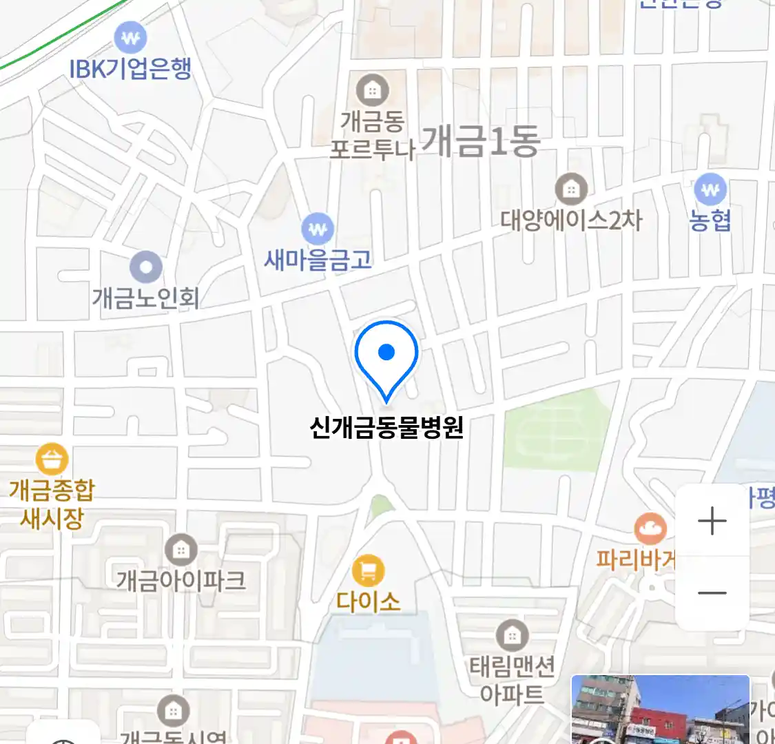 신개금동물병원