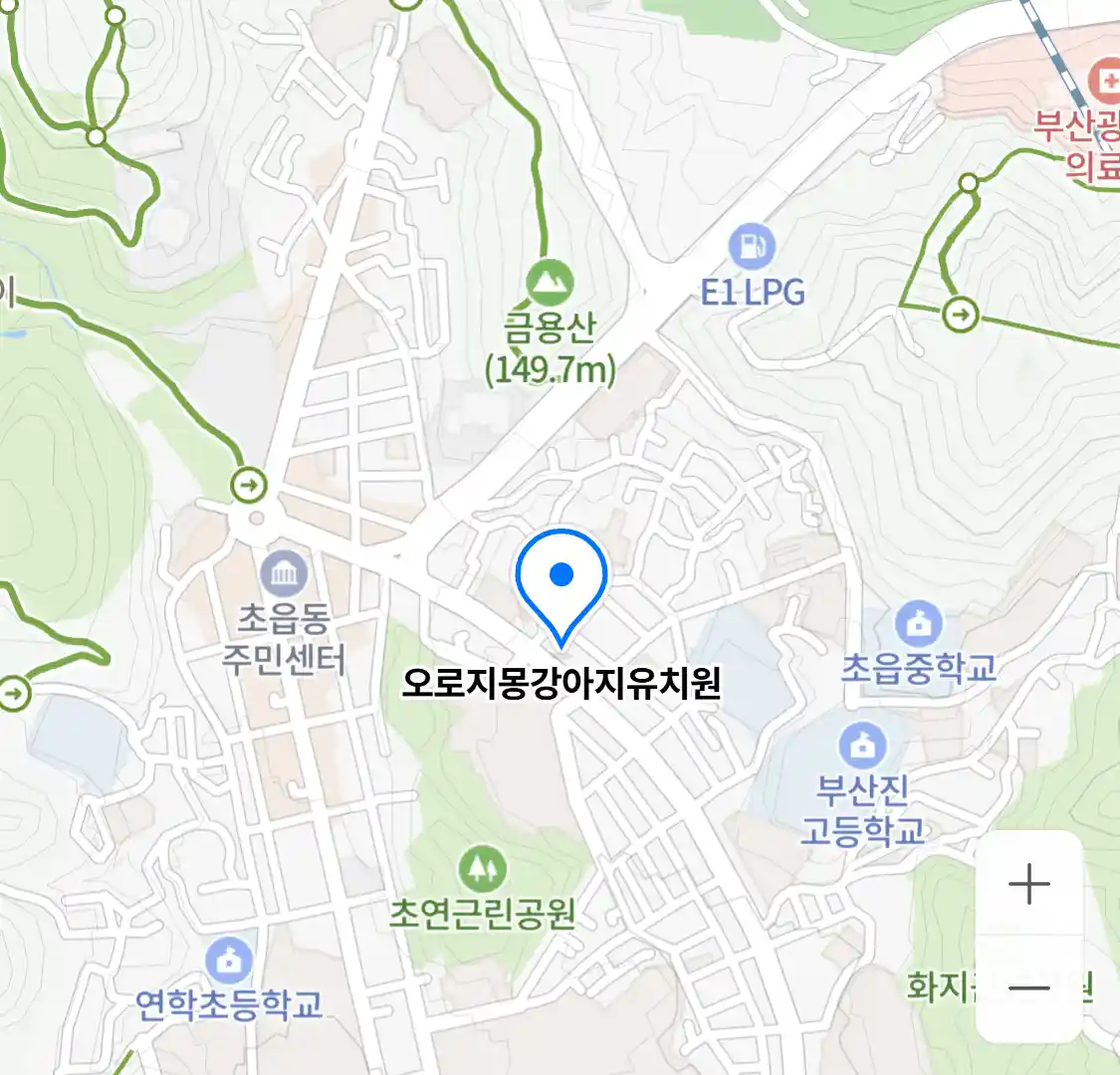 오로지몽강아지유치원