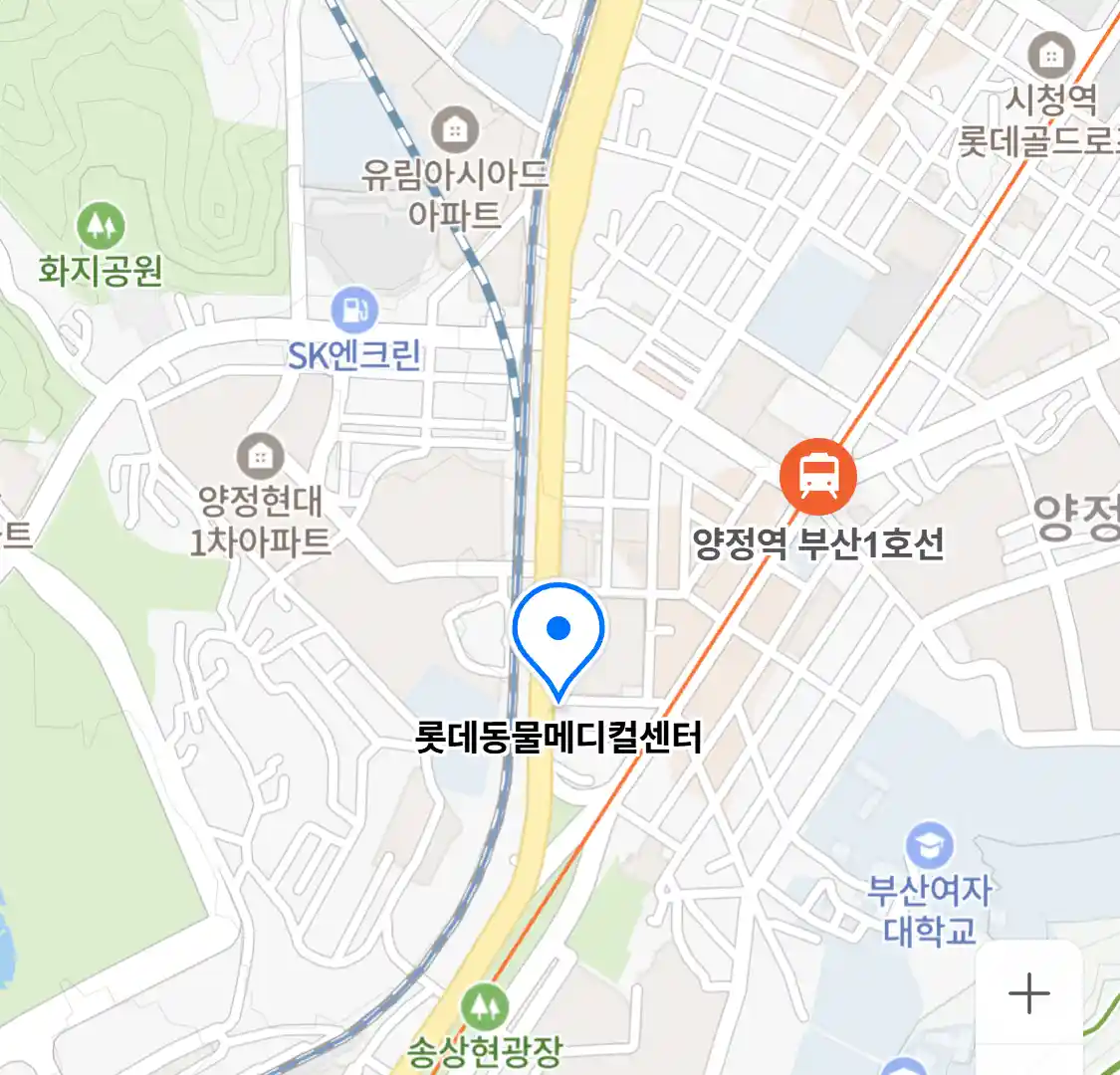 롯데동물메디컬센터