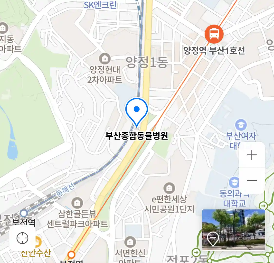 부산종합동물병원