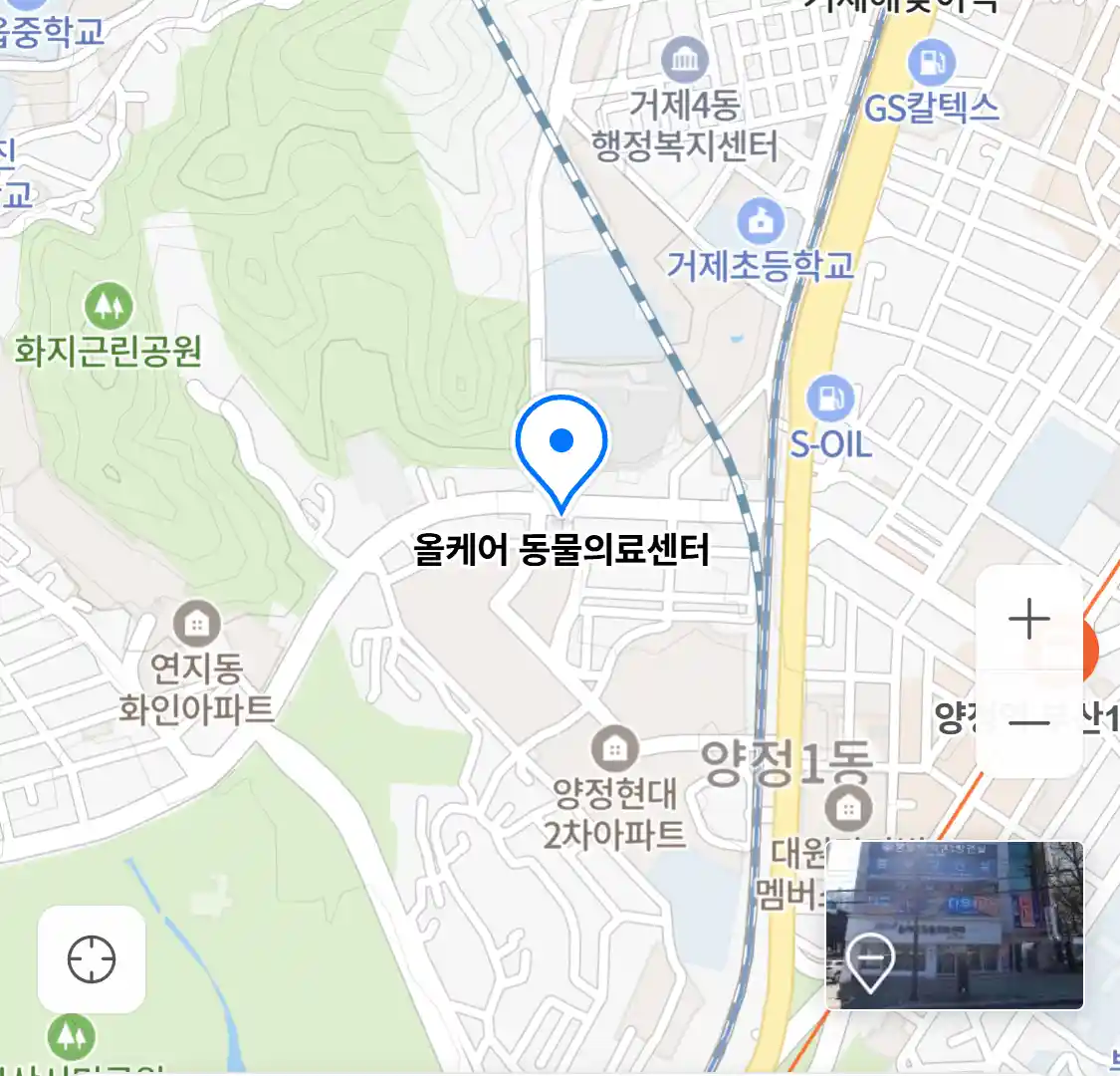 올케어 동물의료센터