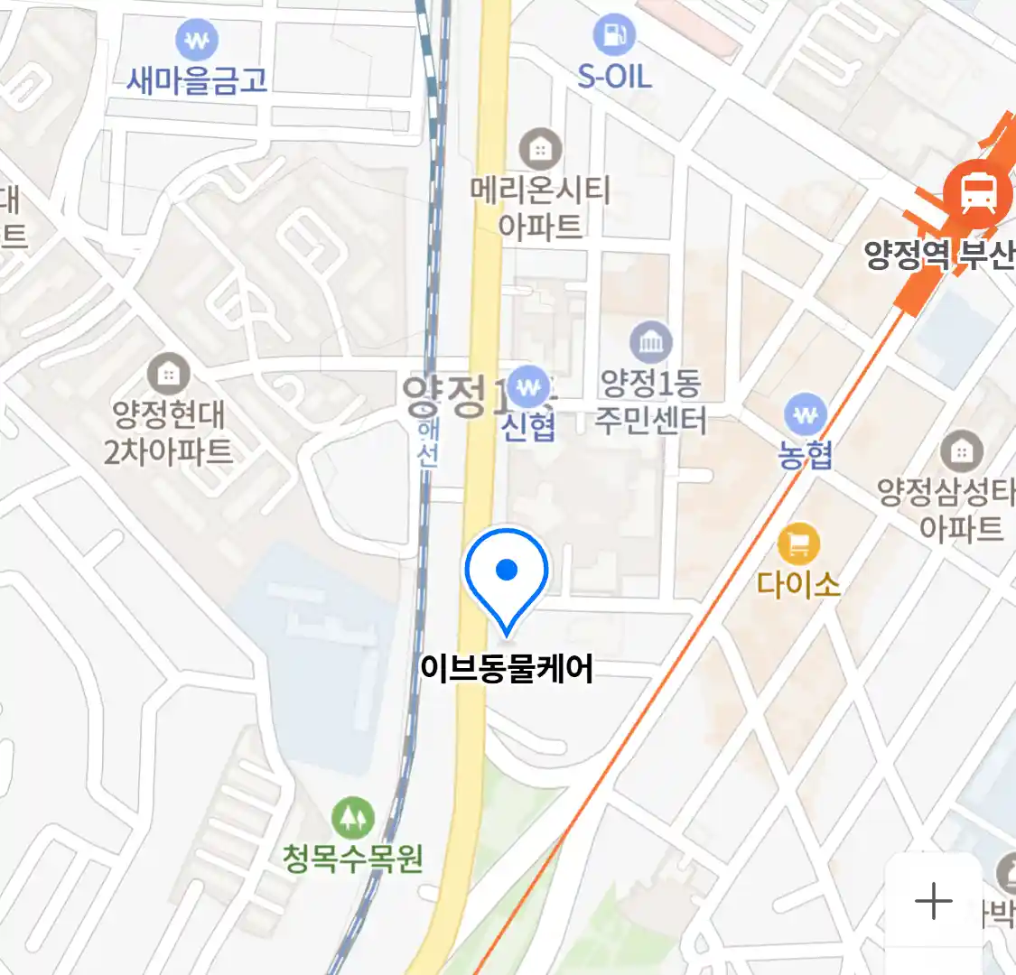 이브동물케어