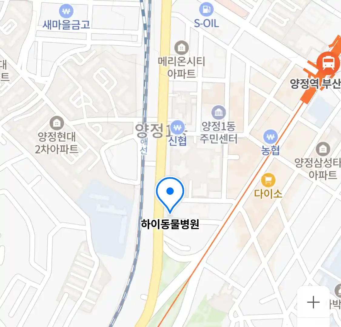 하이동물병원