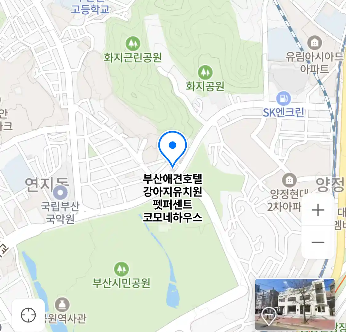 부산애견호텔 강아지유치원 펫퍼센트 코모네하우스