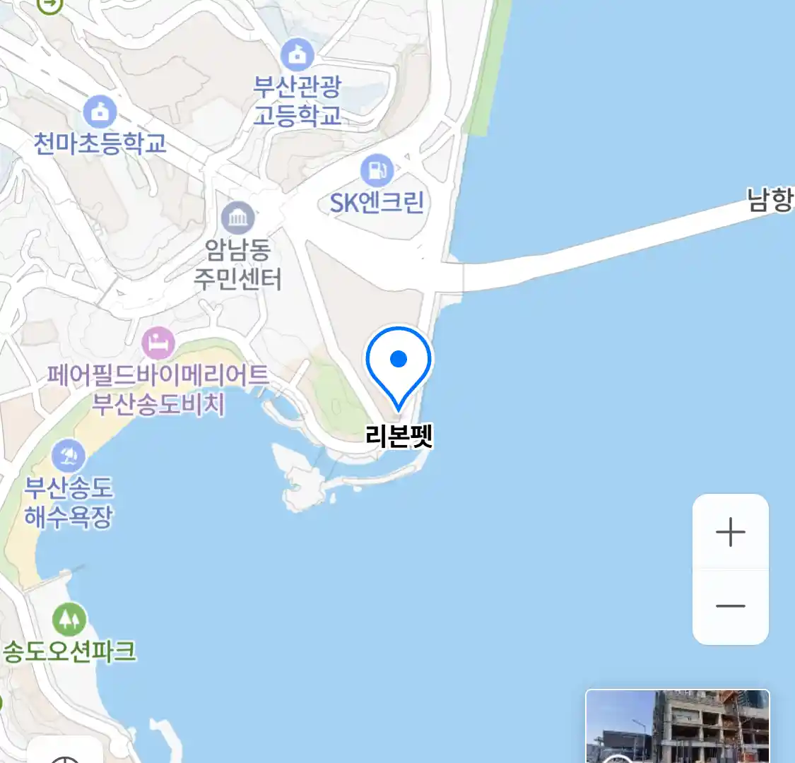 리본펫