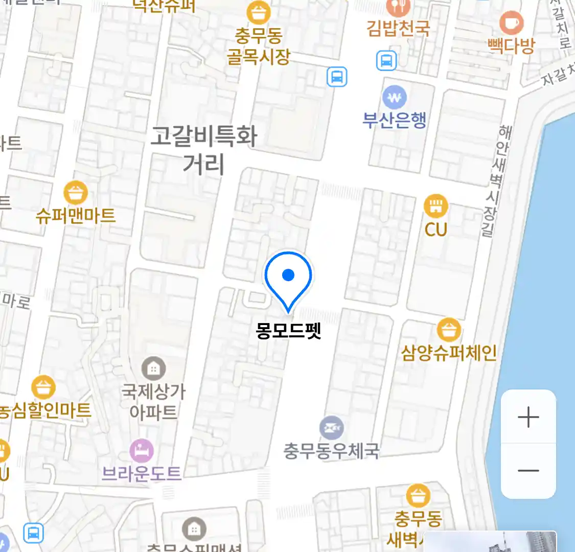 몽모드펫