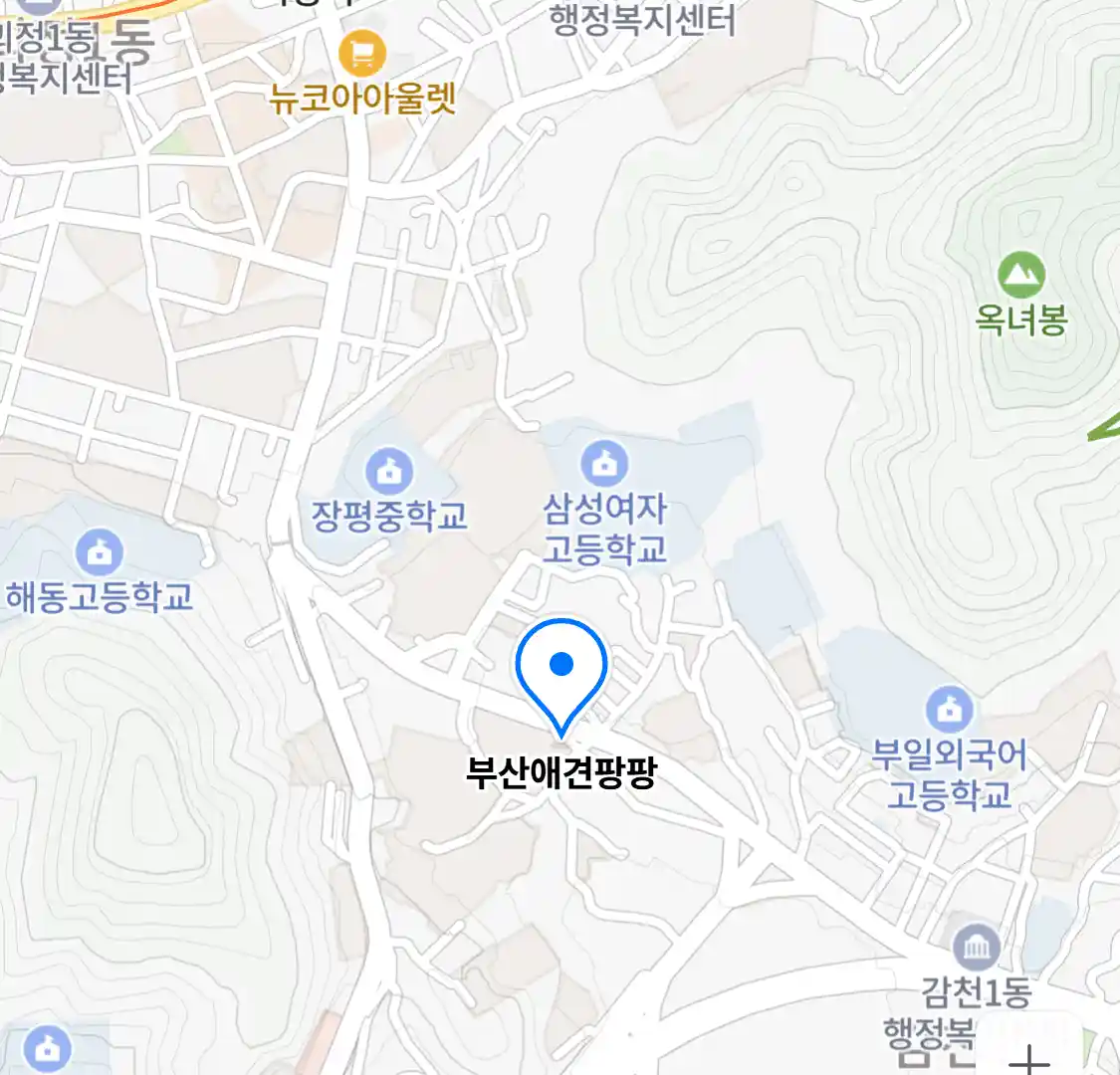 부산애견팡팡