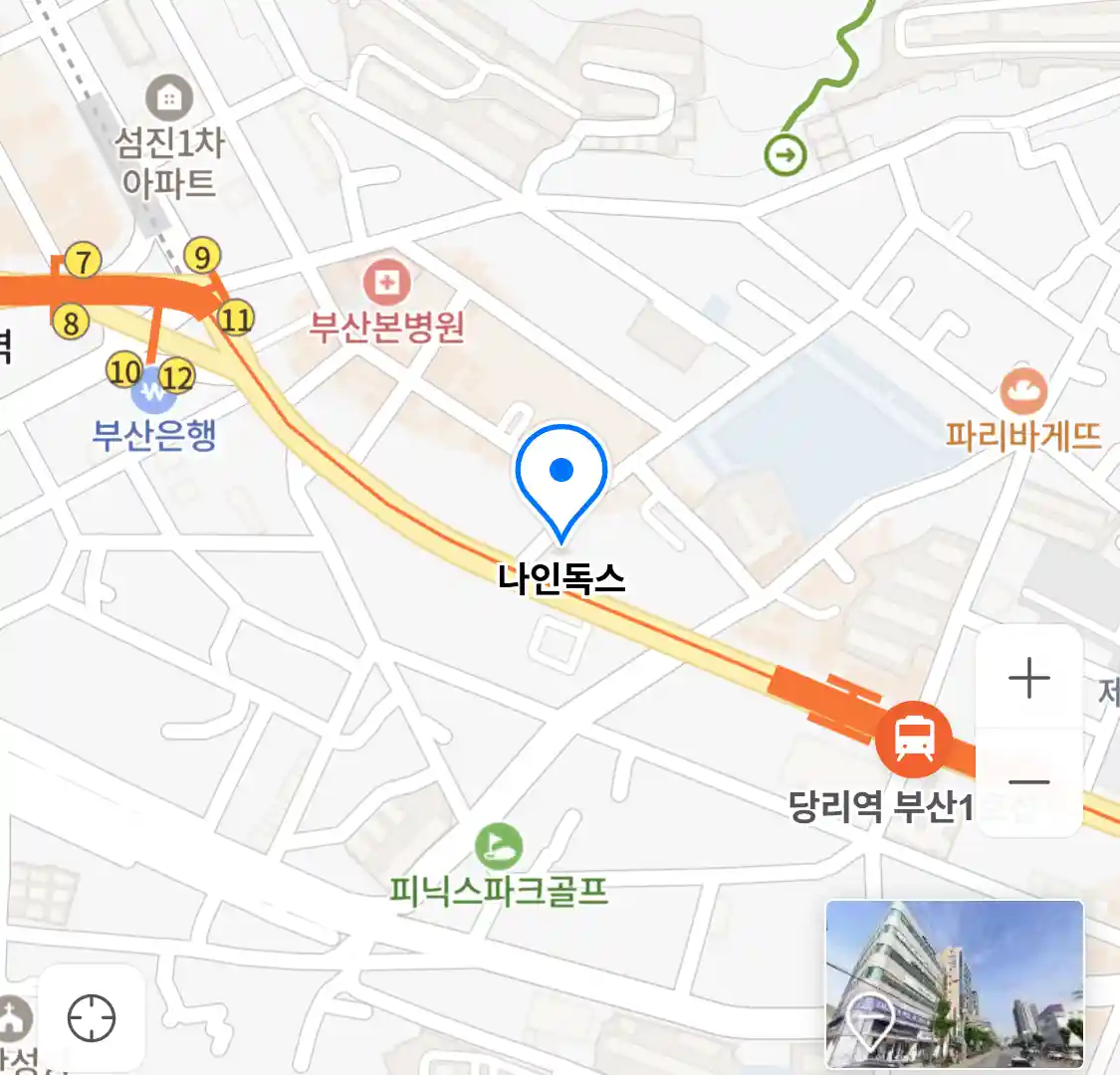 나인독스