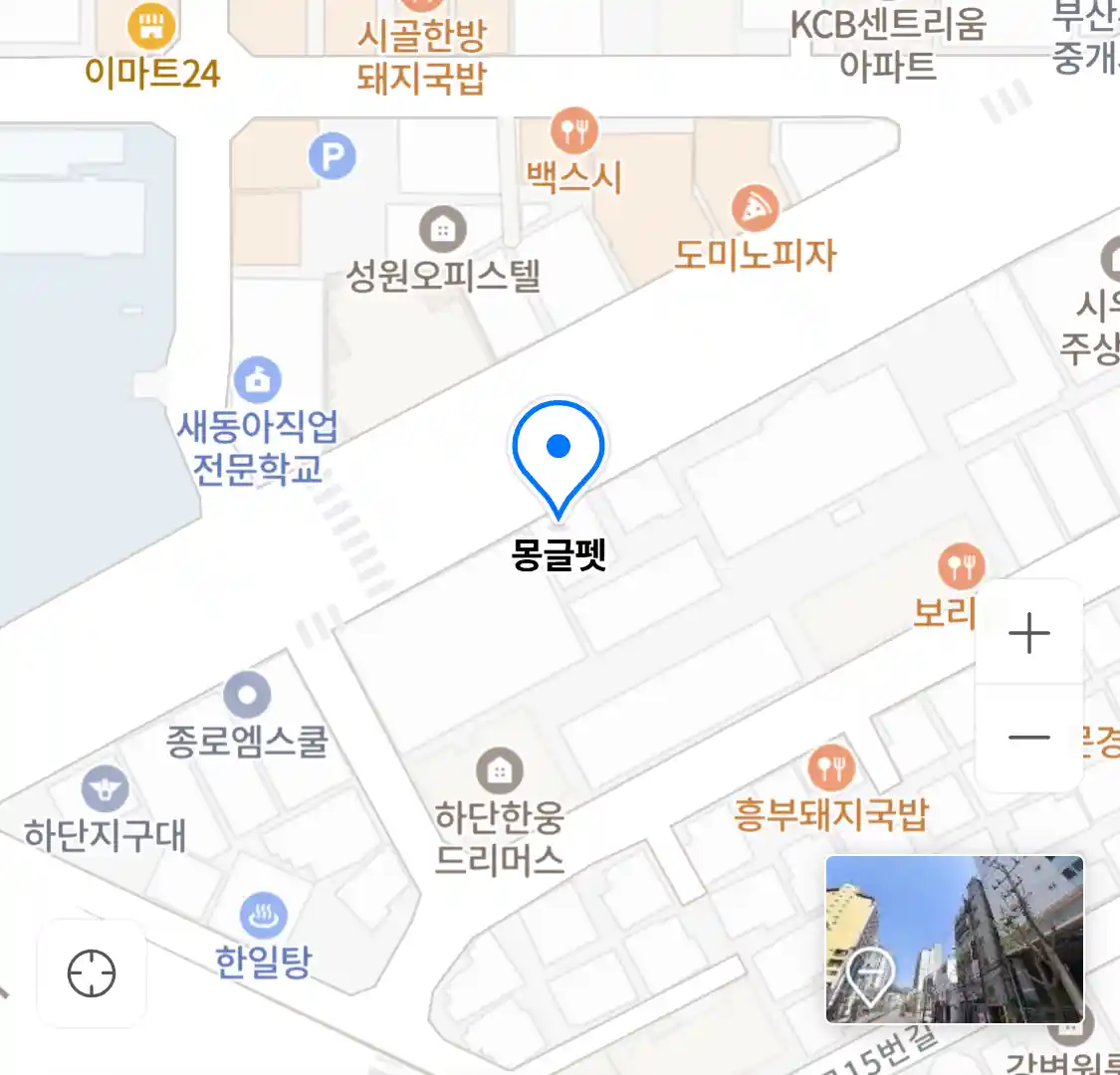 몽글펫