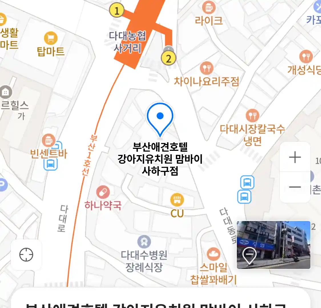 부산애견호텔 강아지유치원 맘바이 사하구점