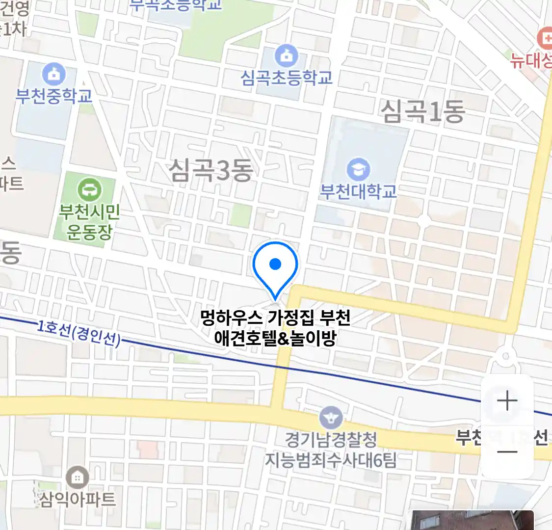멍하우스 가정집 부천 애견호텔&놀이방