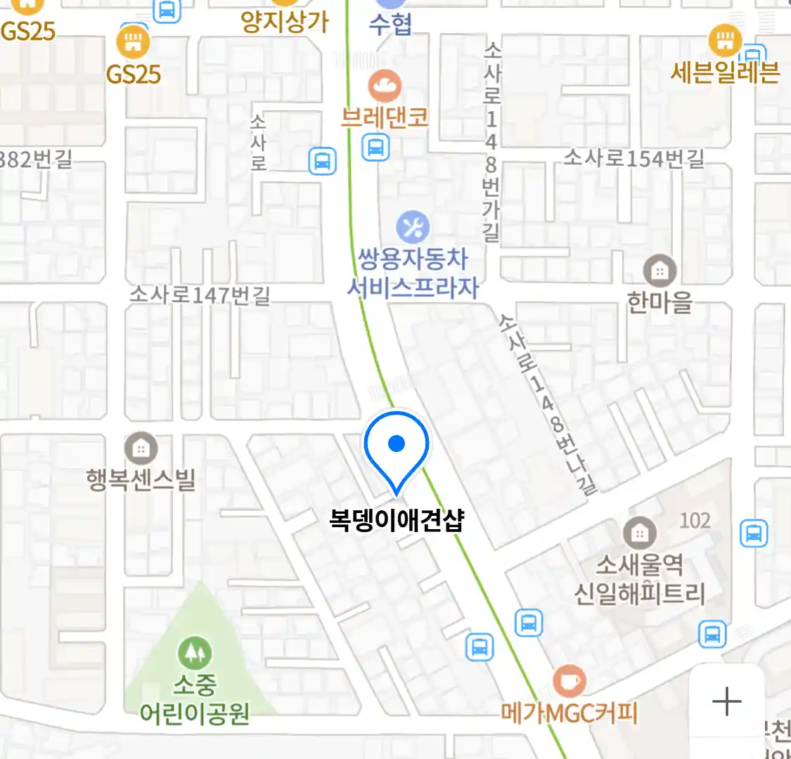 복뎅이애견샵