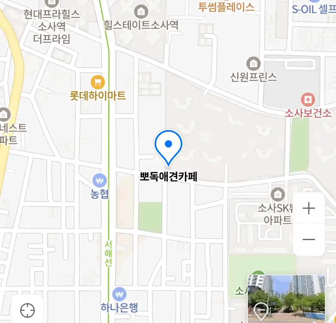 뽀독애견카페