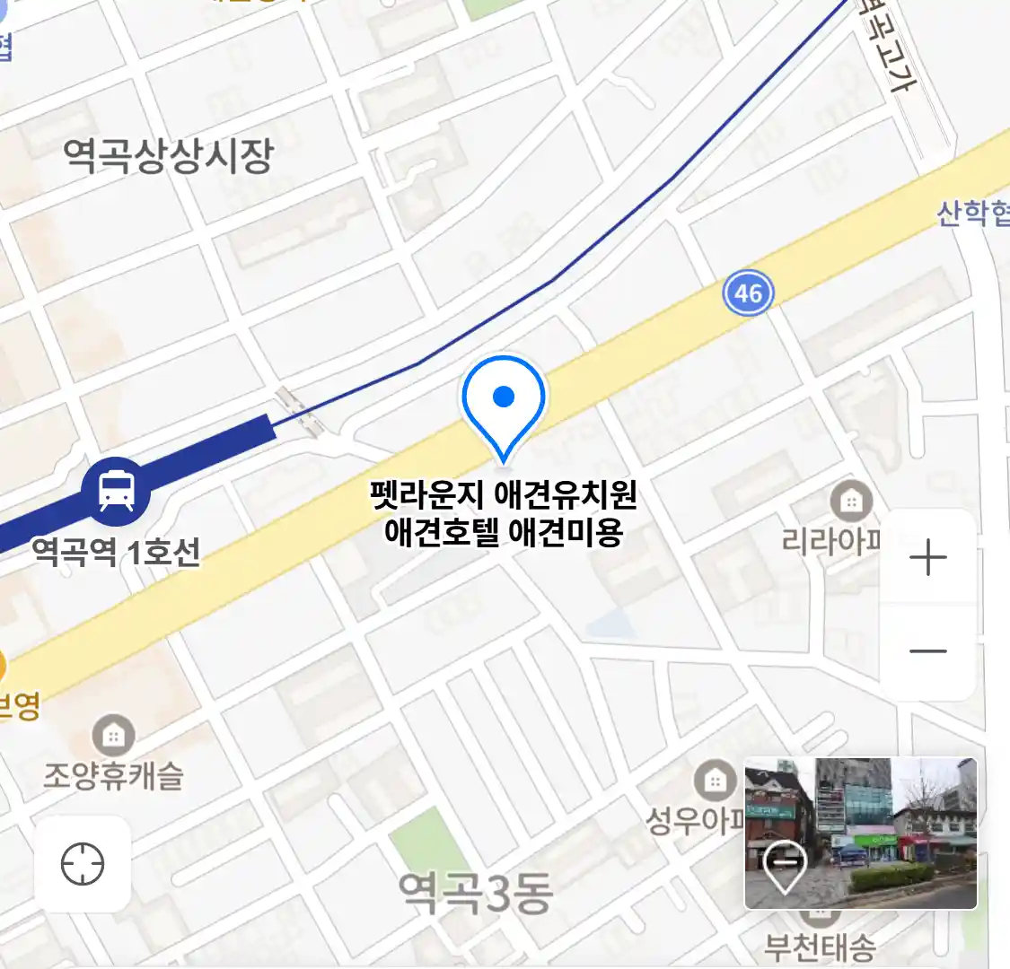 펫라운지 애견유치원 애견호텔 애견미용
