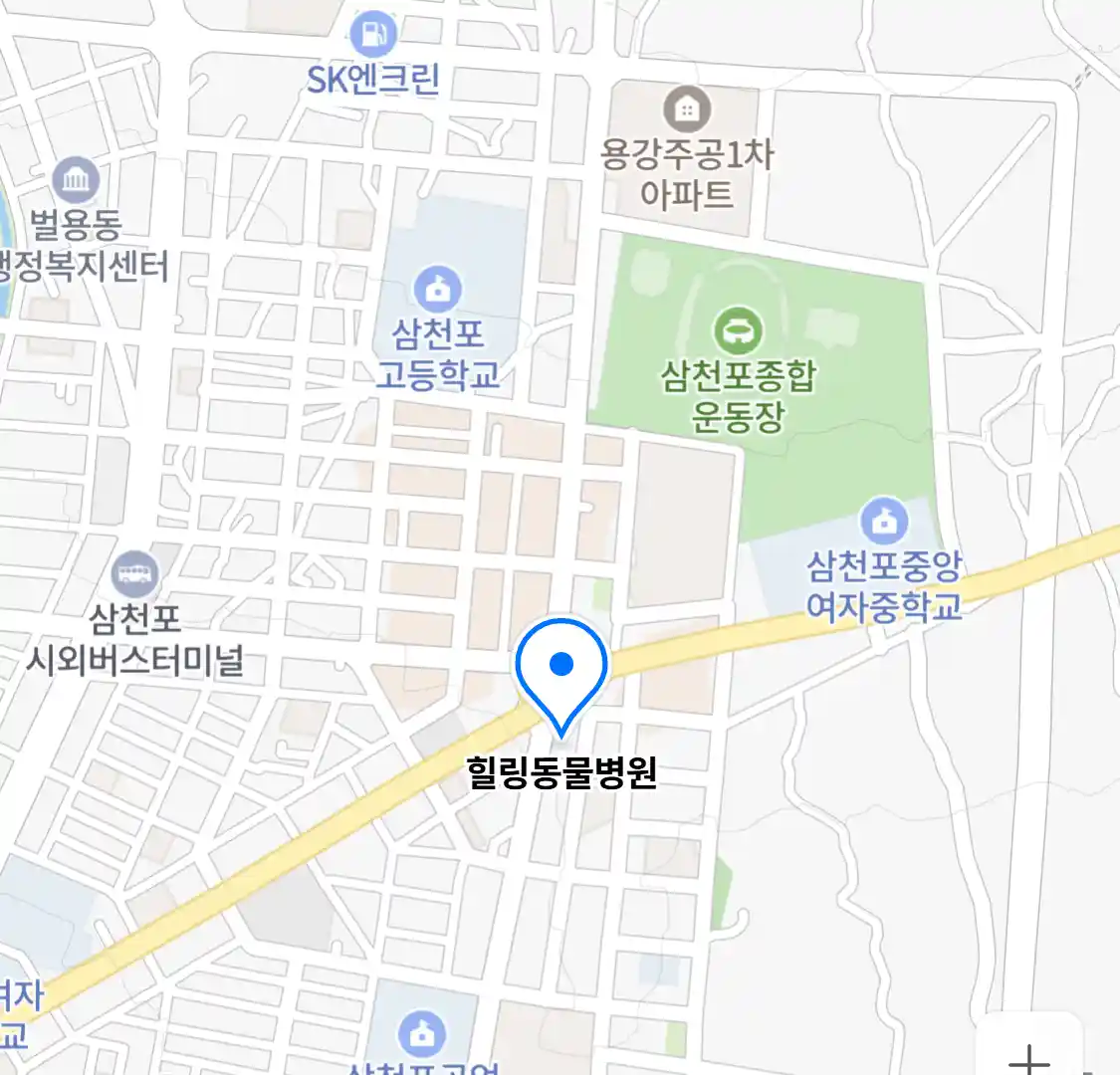 힐링동물병원