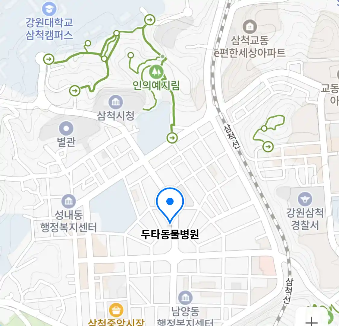 두타동물병원