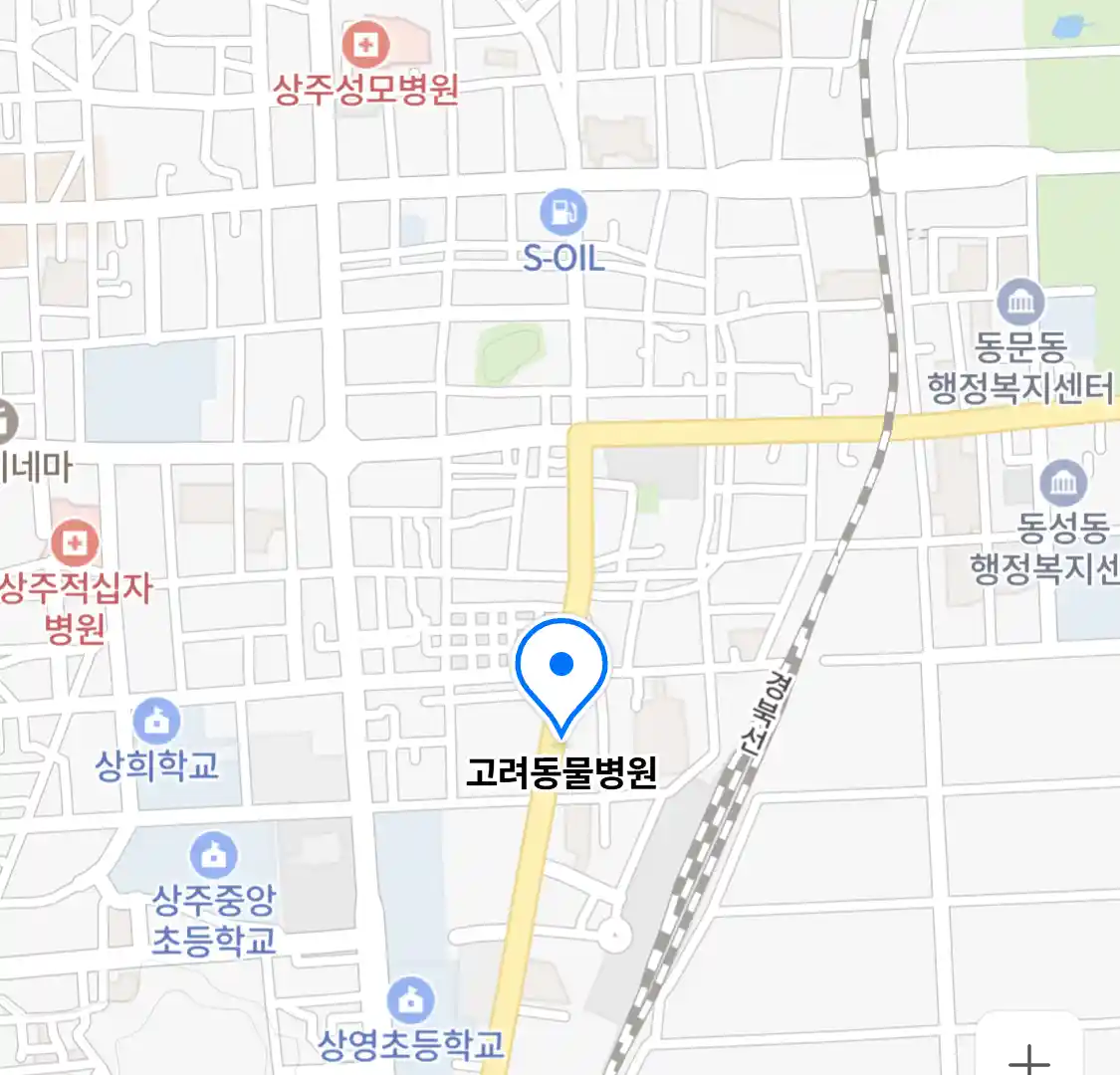 고려동물병원