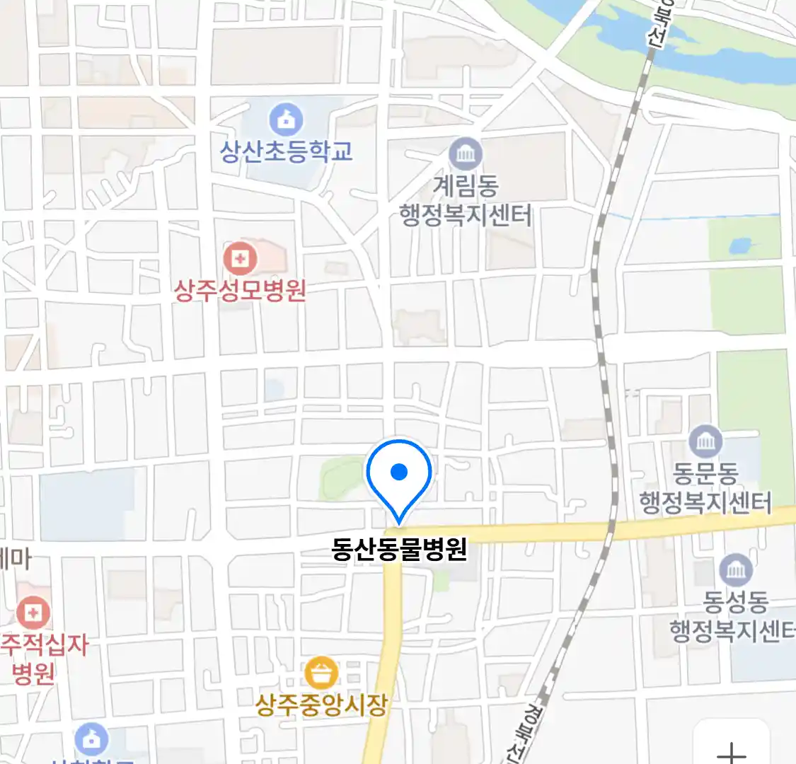 동산동물병원