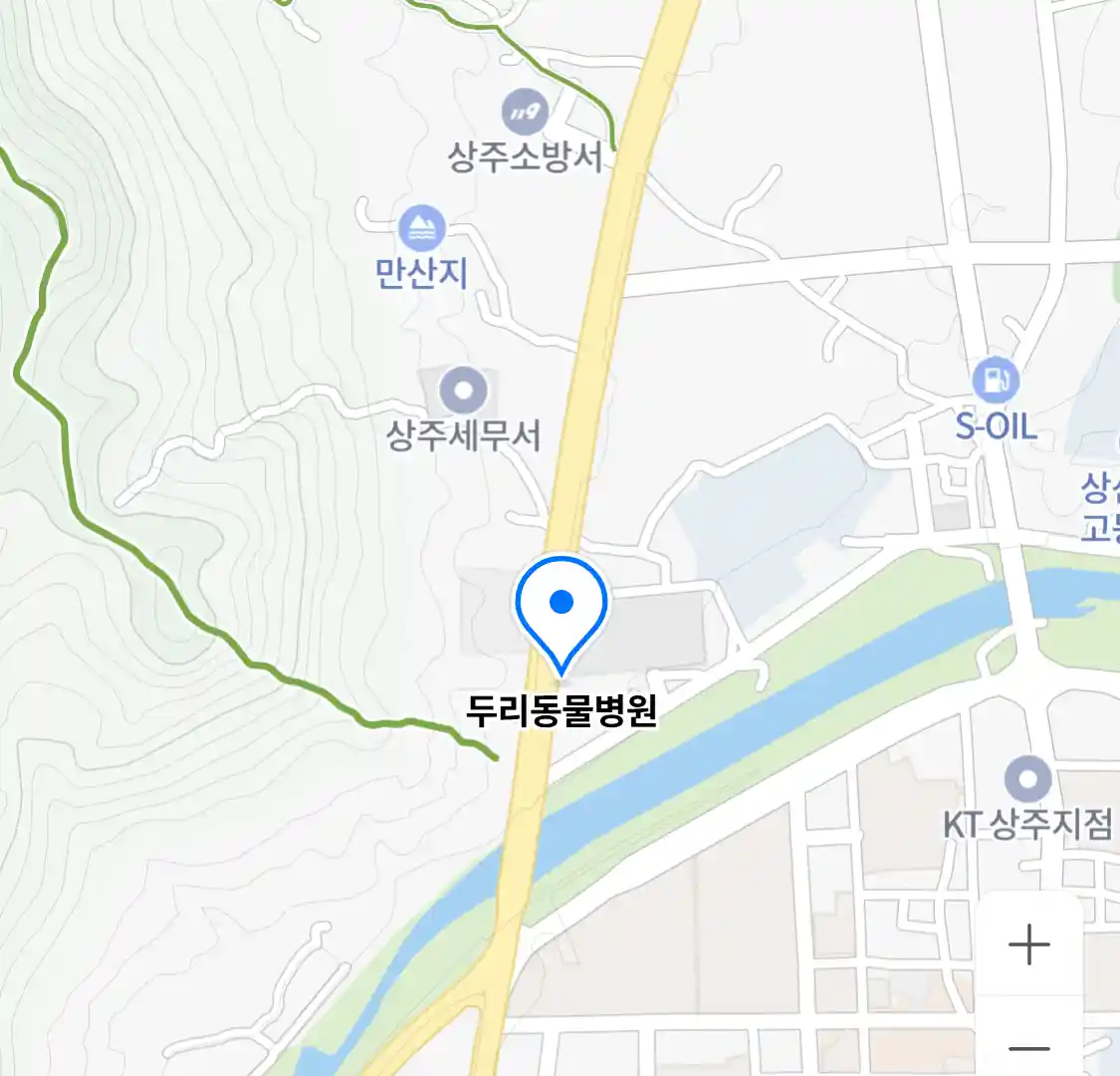 두리동물병원