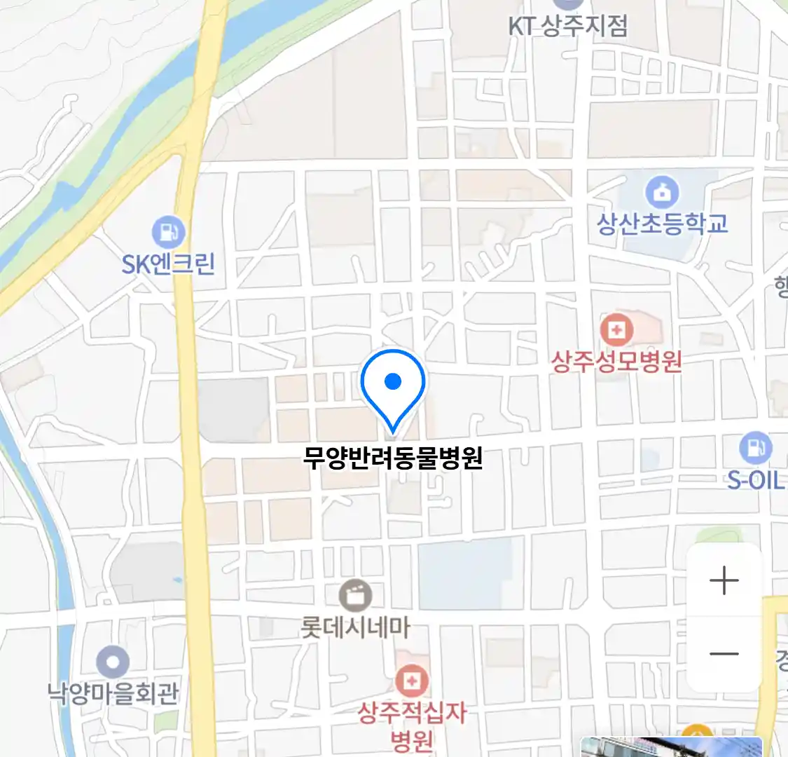 무양반려동물병원