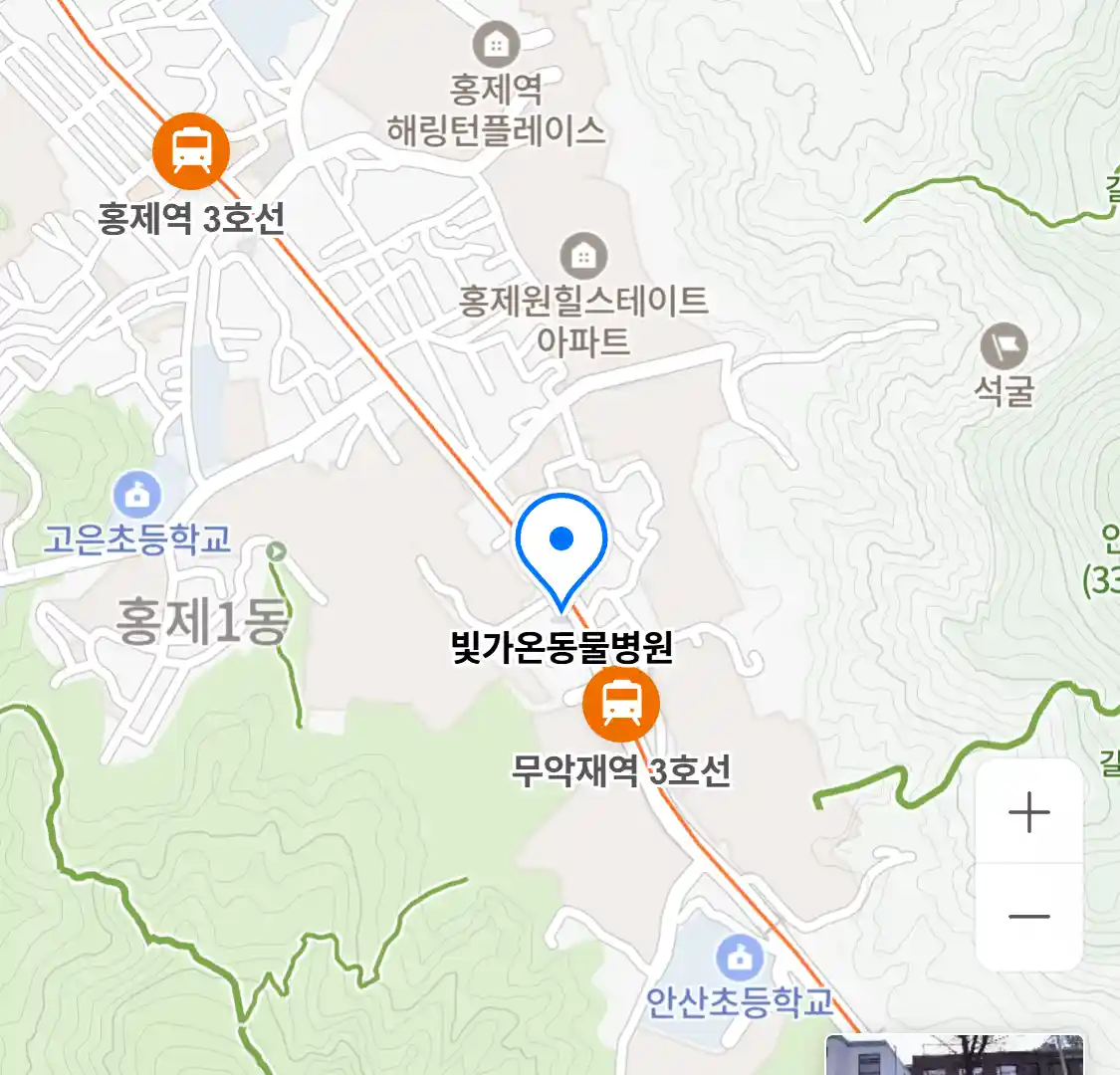 빛가온동물병원
