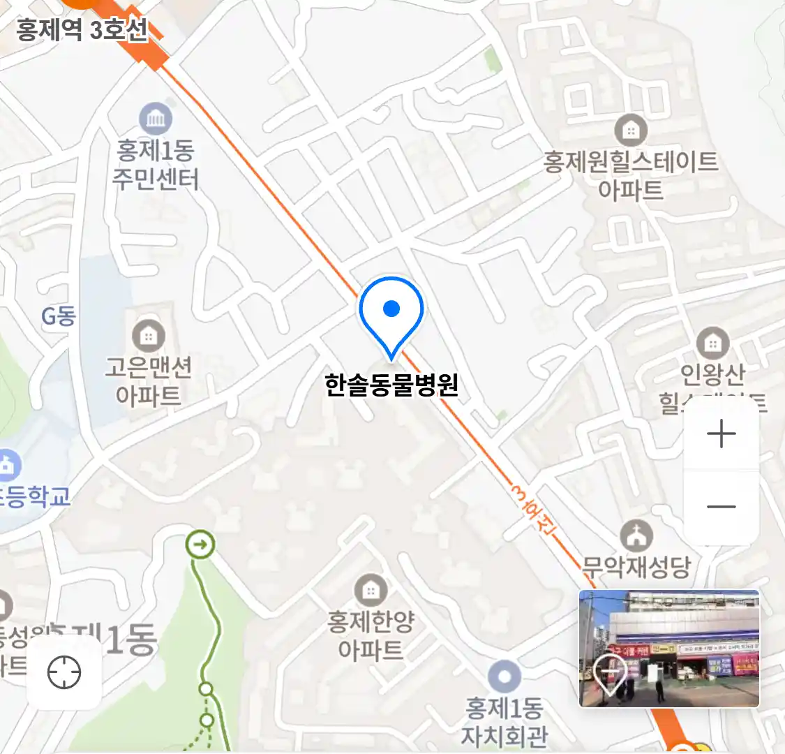 한솔동물병원
