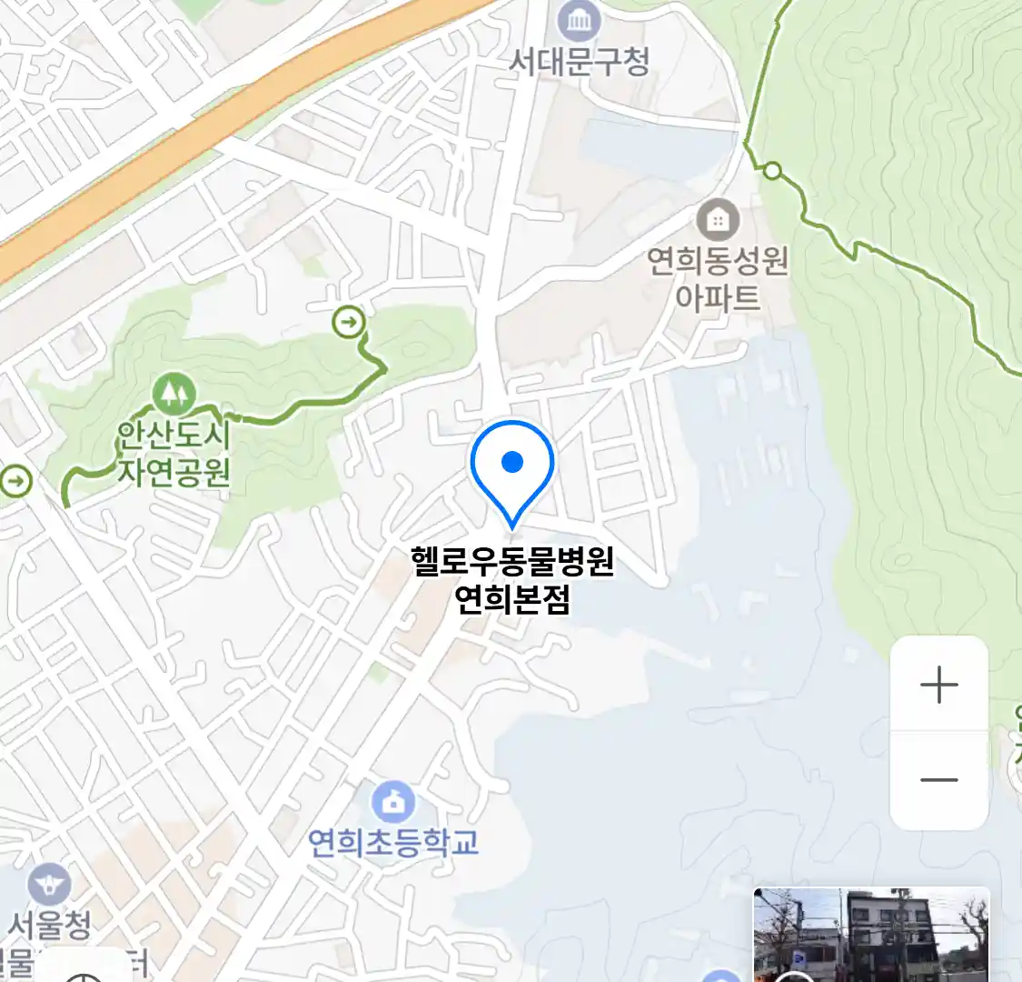 헬로우동물병원 연희본점