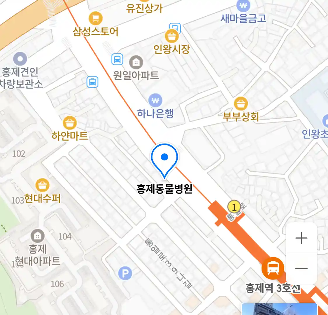 홍제동물병원