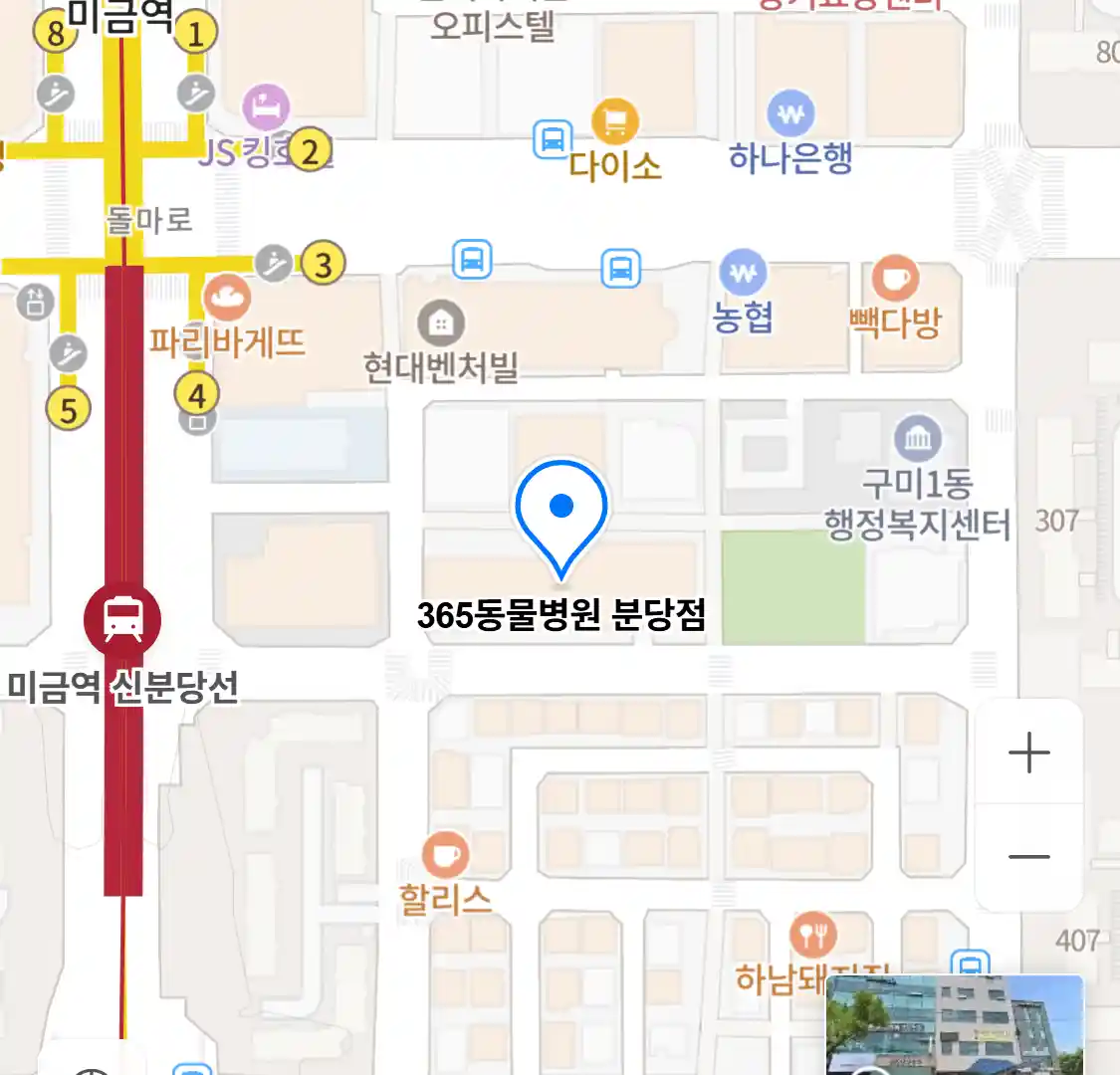 365동물병원 분당점