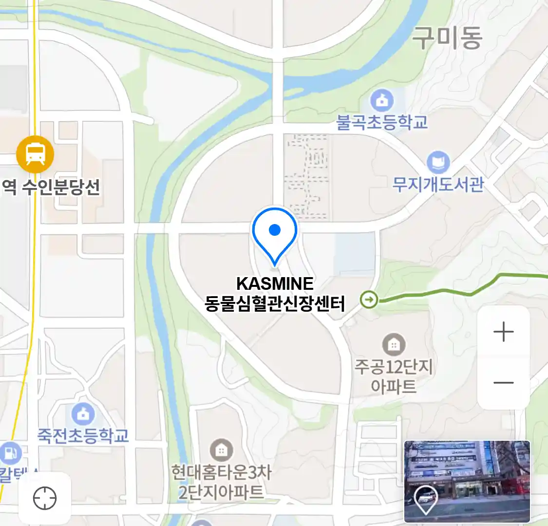 KASMINE 동물심혈관신장센터
