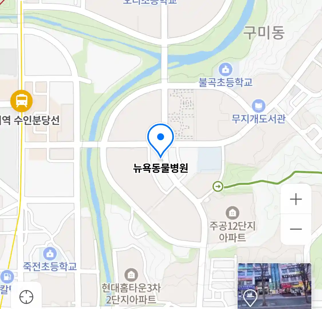 뉴욕동물병원