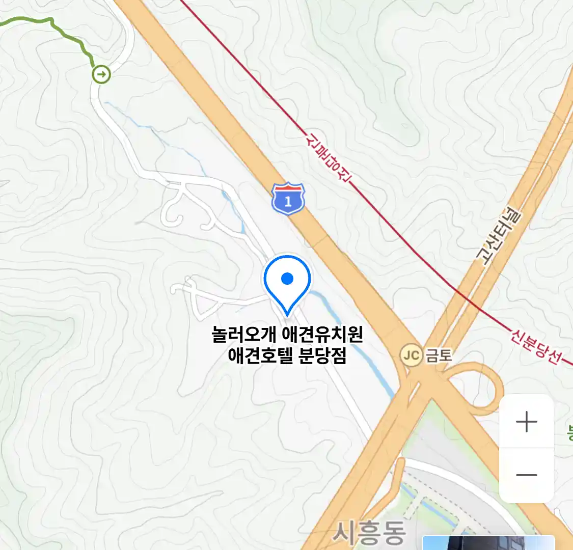 놀러오개 애견유치원 애견호텔 분당점